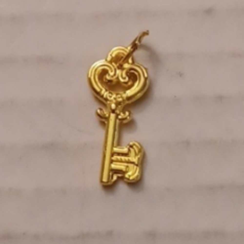 4/$30 New Gold Key Charm or Pendant